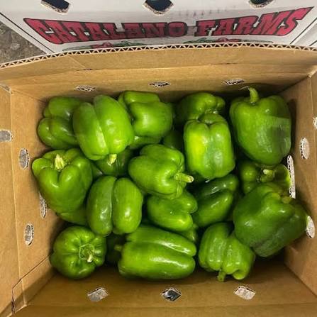 Green Pepper