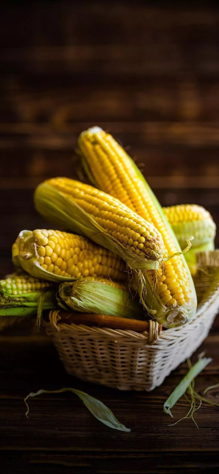Maize