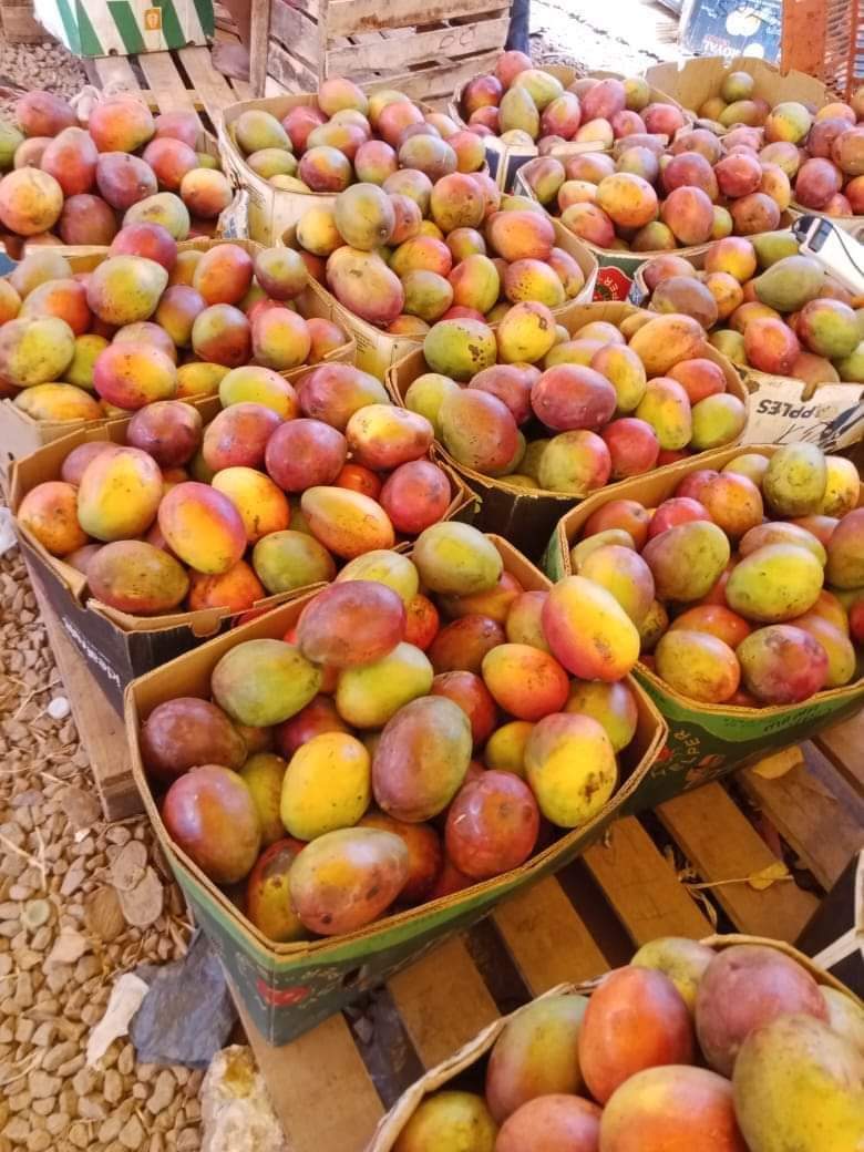 Mangoes