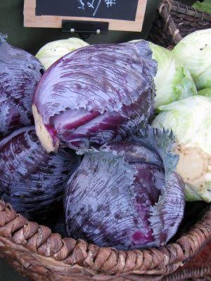 Red Cabbage