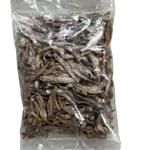 Silver Fish